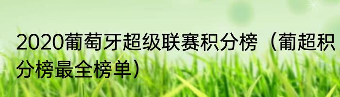 2020葡萄牙超级联赛积分榜（葡超积分榜最全榜单）