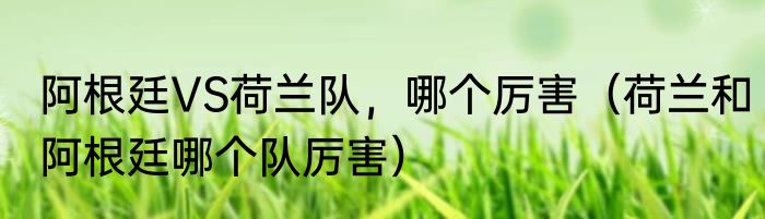 阿根廷VS荷兰队，哪个厉害（荷兰和阿根廷哪个队厉害）