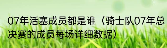 07年活塞成员都是谁（骑士队07年总决赛的成员每场详细数据）