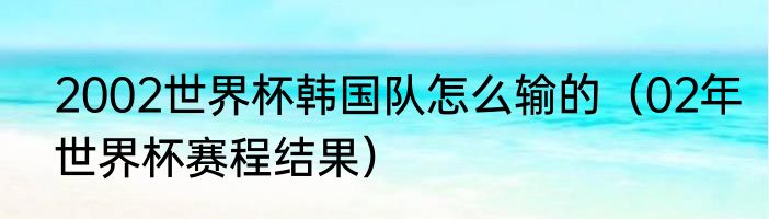 2002世界杯韩国队怎么输的（02年世界杯赛程结果）