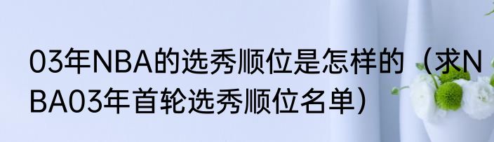 03年NBA的选秀顺位是怎样的（求NBA03年首轮选秀顺位名单）