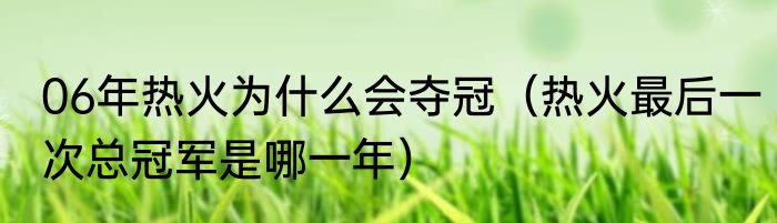 06年热火为什么会夺冠（热火最后一次总冠军是哪一年）