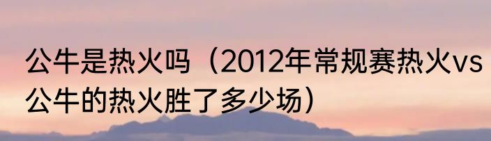 公牛是热火吗（2012年常规赛热火vs公牛的热火胜了多少场）