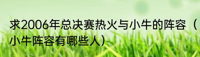 求2006年总决赛热火与小牛的阵容（小牛阵容有哪些人）