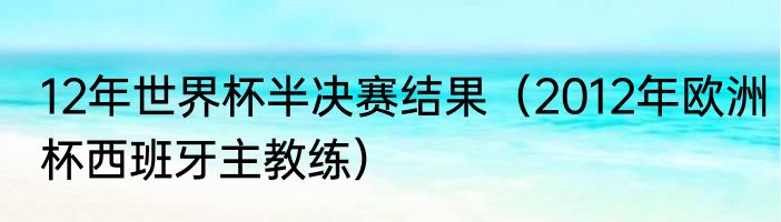 12年世界杯半决赛结果（2012年欧洲杯西班牙主教练）