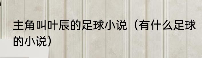 主角叫叶辰的足球小说（有什么足球的小说）