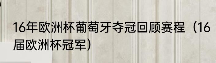 16年欧洲杯葡萄牙夺冠回顾赛程（16届欧洲杯冠军）