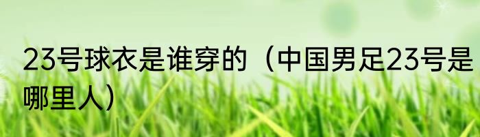 23号球衣是谁穿的（中国男足23号是哪里人）