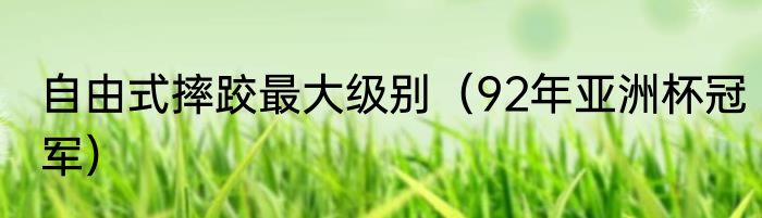 自由式摔跤最大级别（92年亚洲杯冠军）