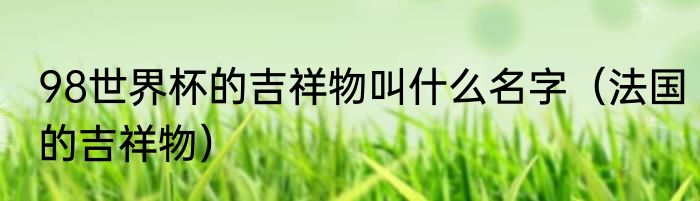 98世界杯的吉祥物叫什么名字（法国的吉祥物）