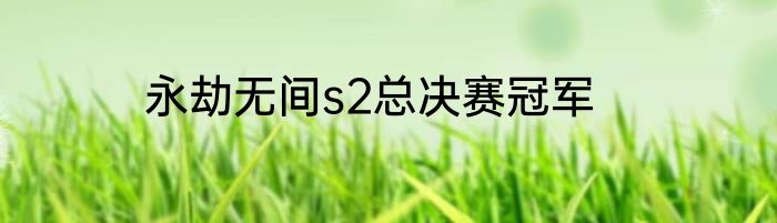 永劫无间s2总决赛冠军