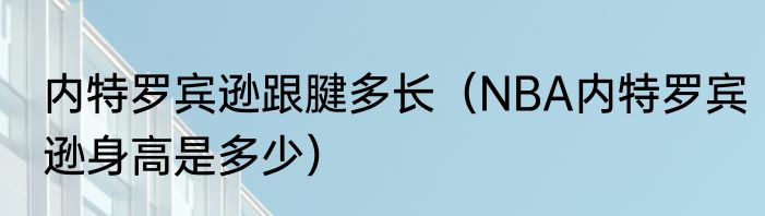 内特罗宾逊跟腱多长（NBA内特罗宾逊身高是多少）