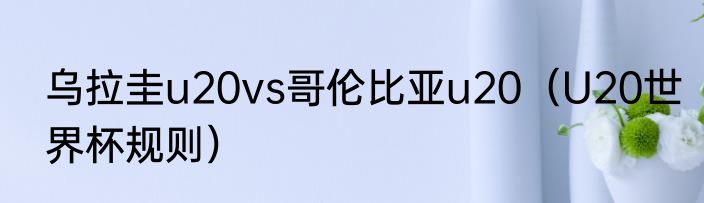 乌拉圭u20vs哥伦比亚u20（U20世界杯规则）
