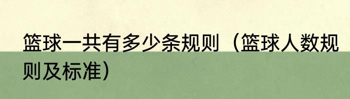 篮球一共有多少条规则（篮球人数规则及标准）