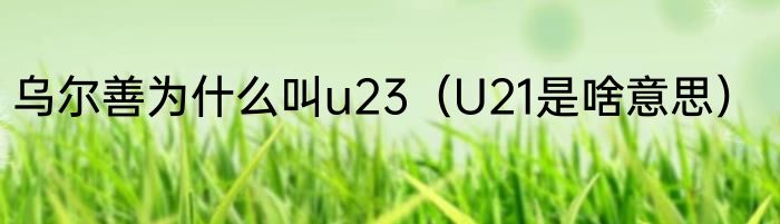 乌尔善为什么叫u23（U21是啥意思）
