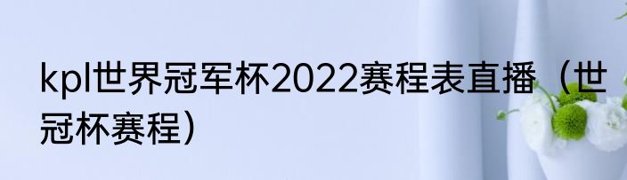 kpl世界冠军杯2022赛程表直播（世冠杯赛程）