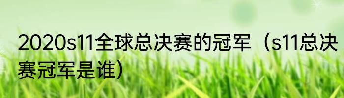 2020s11全球总决赛的冠军（s11总决赛冠军是谁）