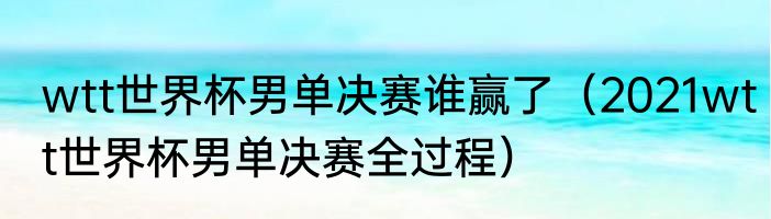 wtt世界杯男单决赛谁赢了（2021wtt世界杯男单决赛全过程）