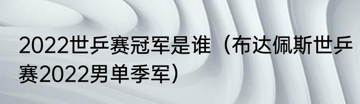 2022世乒赛冠军是谁（布达佩斯世乒赛2022男单季军）