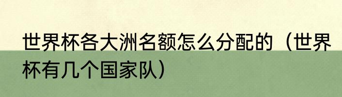 世界杯各大洲名额怎么分配的（世界杯有几个国家队）