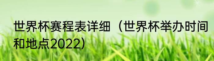 世界杯赛程表详细（世界杯举办时间和地点2022）