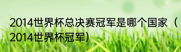 2014世界杯总决赛冠军是哪个国家（2014世界杯冠军）