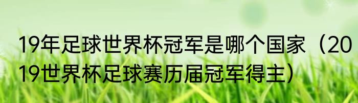 19年足球世界杯冠军是哪个国家（2019世界杯足球赛历届冠军得主）