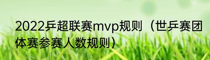 2022乒超联赛mvp规则（世乒赛团体赛参赛人数规则）