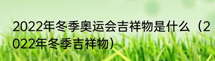 2022年冬季奥运会吉祥物是什么（2022年冬季吉祥物）