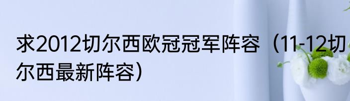 求2012切尔西欧冠冠军阵容（11-12切尔西最新阵容）