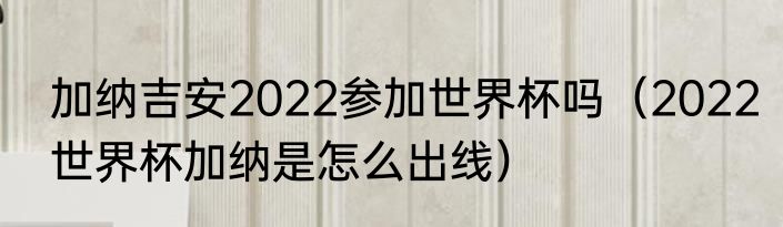 加纳吉安2022参加世界杯吗（2022世界杯加纳是怎么出线）