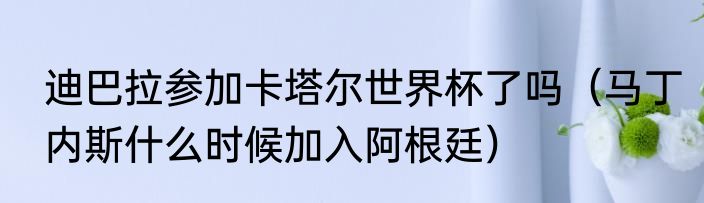 迪巴拉参加卡塔尔世界杯了吗（马丁内斯什么时候加入阿根廷）