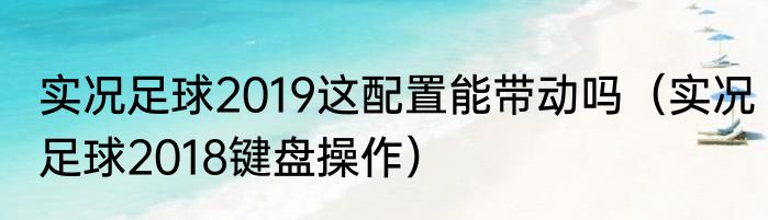 实况足球2019这配置能带动吗（实况足球2018键盘操作）