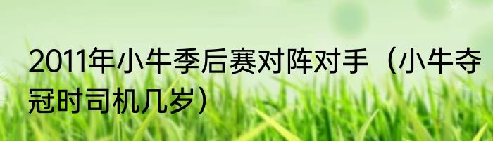 2011年小牛季后赛对阵对手（小牛夺冠时司机几岁）