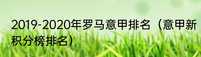 2019-2020年罗马意甲排名（意甲新积分榜排名）