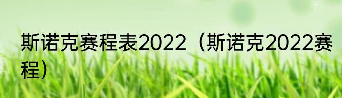 斯诺克赛程表2022（斯诺克2022赛程）