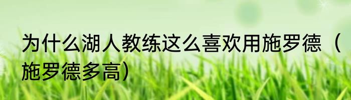 为什么湖人教练这么喜欢用施罗德（施罗德多高）