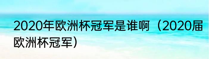 2020年欧洲杯冠军是谁啊（2020届欧洲杯冠军）