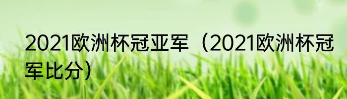 2021欧洲杯冠亚军（2021欧洲杯冠军比分）