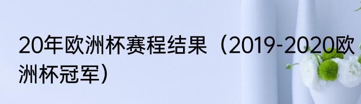 20年欧洲杯赛程结果（2019-2020欧洲杯冠军）