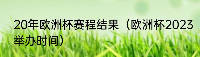 20年欧洲杯赛程结果（欧洲杯2023举办时间）