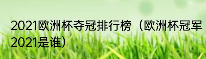 2021欧洲杯夺冠排行榜（欧洲杯冠军2021是谁）