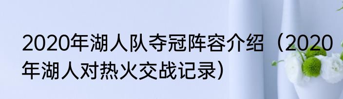 2020年湖人队夺冠阵容介绍（2020年湖人对热火交战记录）
