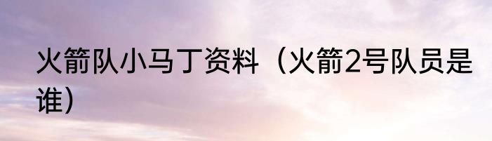 火箭队小马丁资料（火箭2号队员是谁）