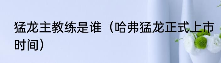 猛龙主教练是谁（哈弗猛龙正式上市时间）