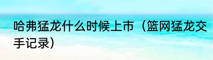 哈弗猛龙什么时候上市（篮网猛龙交手记录）