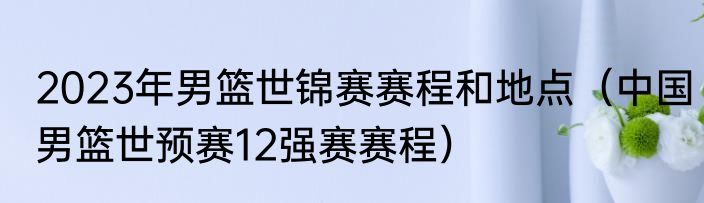 2023年男篮世锦赛赛程和地点（中国男篮世预赛12强赛赛程）
