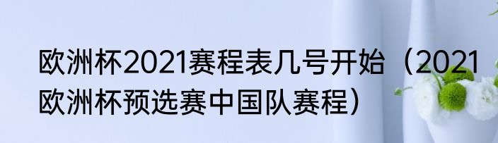 欧洲杯2021赛程表几号开始（2021欧洲杯预选赛中国队赛程）