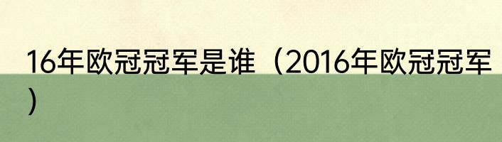 16年欧冠冠军是谁（2016年欧冠冠军）