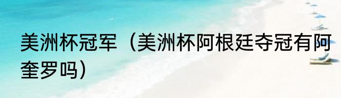 美洲杯冠军（美洲杯阿根廷夺冠有阿奎罗吗）